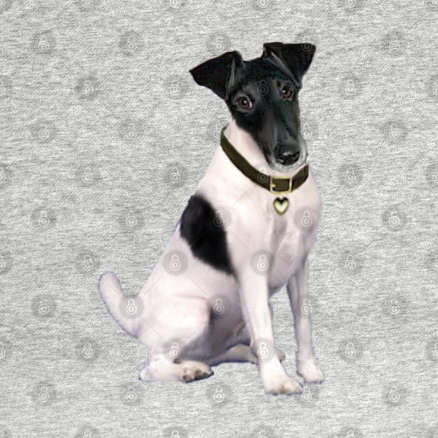 Black and White Smooth Fox Terrier by Dogs Galore and More